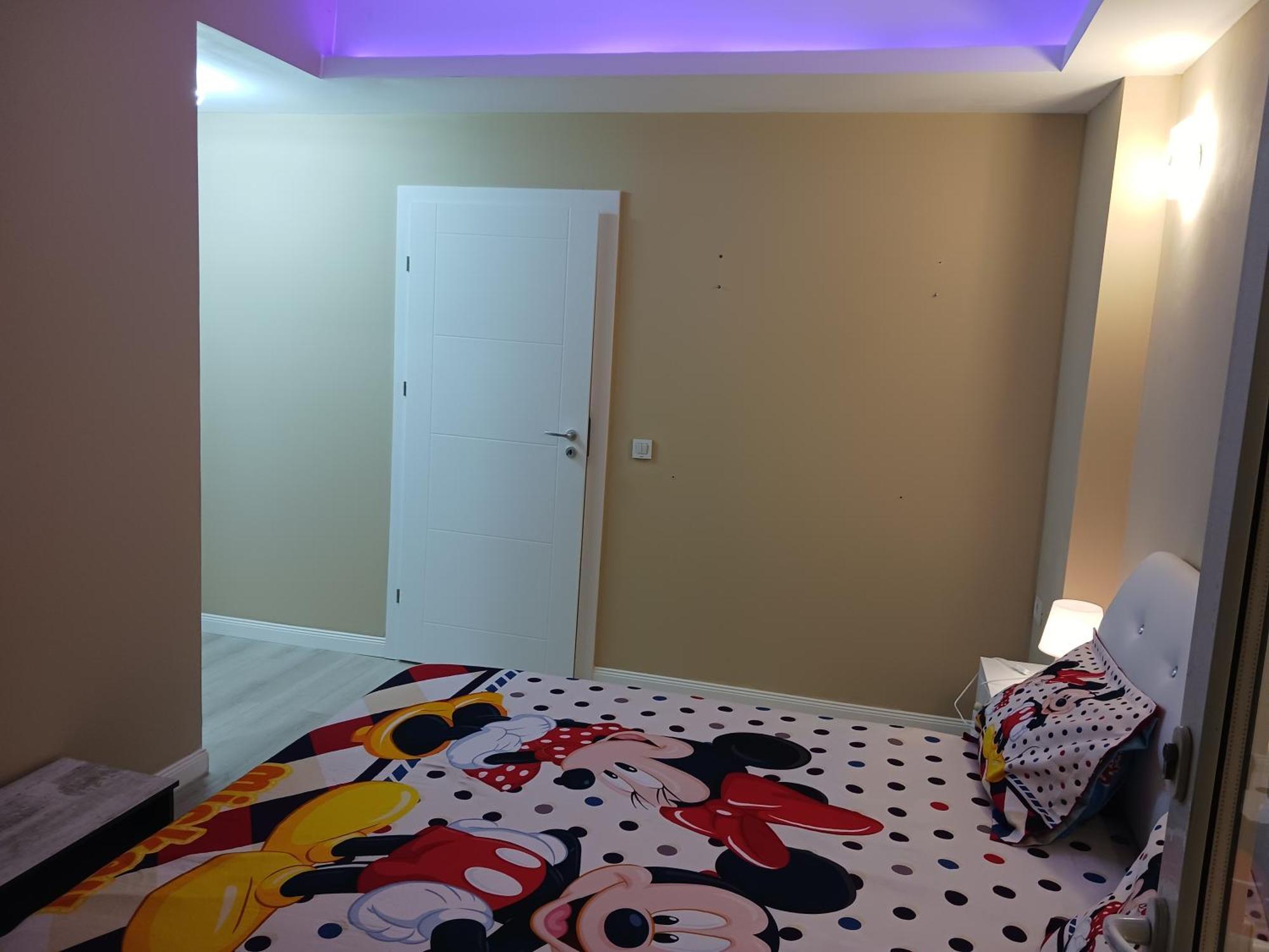Myky Mouse Nu Primesc Santieristi Si Petrecareti Lejlighed Bukarest Eksteriør billede